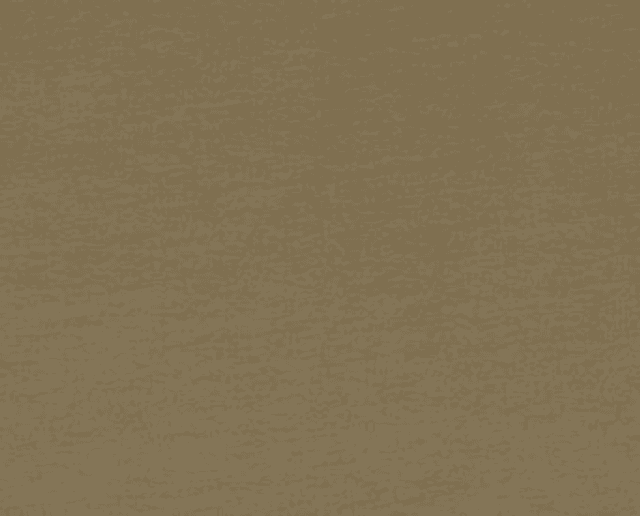 Cotton Elastane Jersey Camel