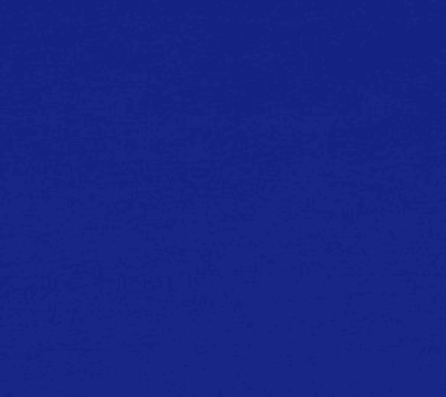Cotton Elastane Jersey Cobalt
